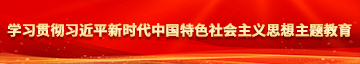 嗯呢啊操的好舒服鸡扒学习贯彻习近平新时代中国特色社会主义思想主题教育